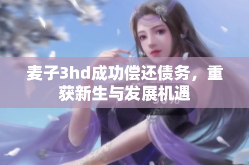 麦子3hd成功偿还债务，重获新生与发展机遇