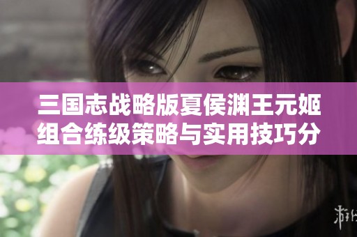 三国志战略版夏侯渊王元姬组合练级策略与实用技巧分享