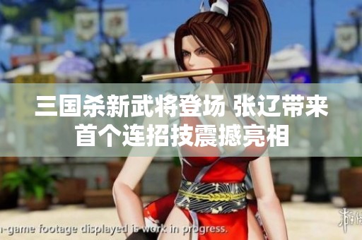 三国杀新武将登场 张辽带来首个连招技震撼亮相