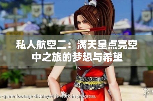 私人航空二：满天星点亮空中之旅的梦想与希望