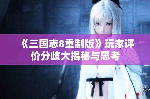《三国志8重制版》玩家评价分歧大揭秘与思考
