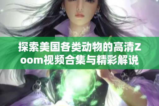 探索美国各类动物的高清Zoom视频合集与精彩解说
