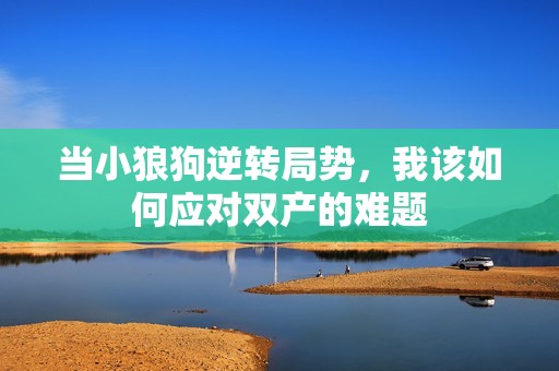 当小狼狗逆转局势，我该如何应对双产的难题