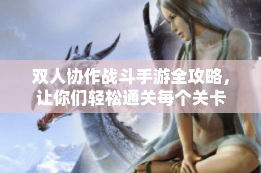 双人协作战斗手游全攻略，让你们轻松通关每个关卡