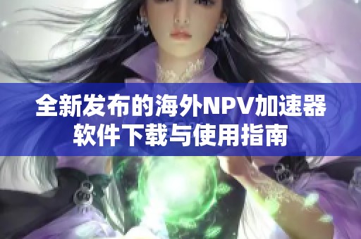 全新发布的海外NPV加速器软件下载与使用指南