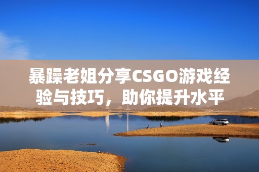 暴躁老姐分享CSGO游戏经验与技巧，助你提升水平