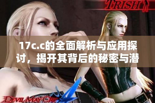 17c.c的全面解析与应用探讨，揭开其背后的秘密与潜力