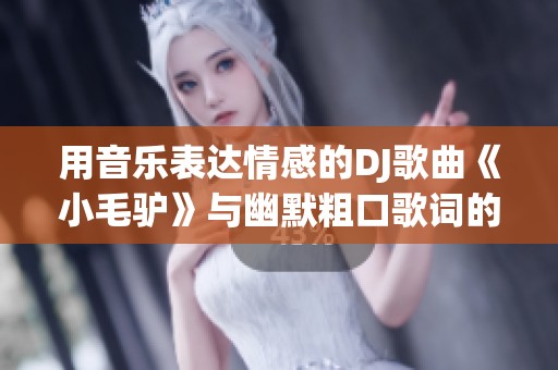 用音乐表达情感的DJ歌曲《小毛驴》与幽默粗口歌词的完美结合