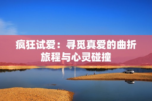 疯狂试爱：寻觅真爱的曲折旅程与心灵碰撞