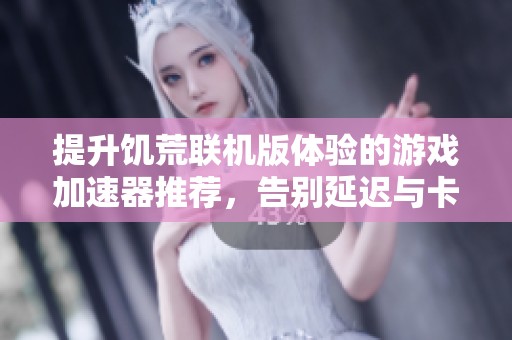 提升饥荒联机版体验的游戏加速器推荐，告别延迟与卡顿问题