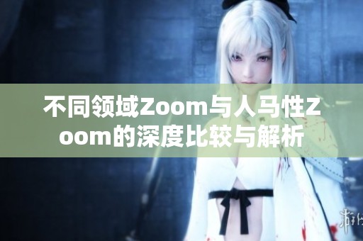 不同领域Zoom与人马性Zoom的深度比较与解析