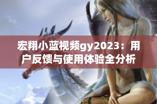 宏翔小蓝视频gy2023：用户反馈与使用体验全分析