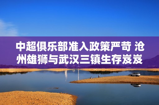 中超俱乐部准入政策严苛 沧州雄狮与武汉三镇生存岌岌可危