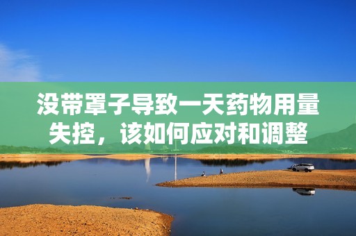 没带罩子导致一天药物用量失控，该如何应对和调整