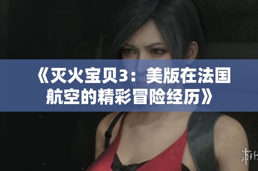 《灭火宝贝3：美版在法国航空的精彩冒险经历》