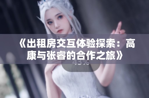 《出租房交互体验探索：高康与张睿的合作之旅》