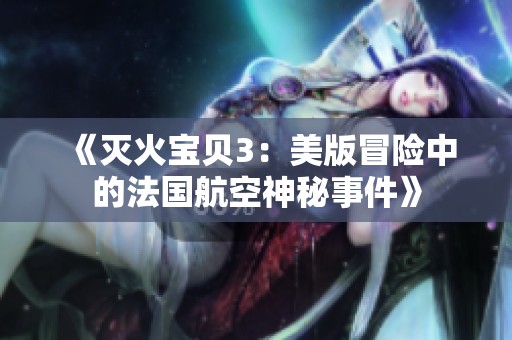 《灭火宝贝3：美版冒险中的法国航空神秘事件》