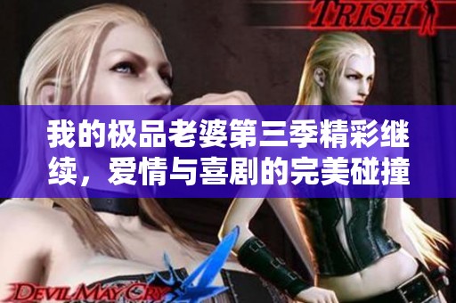 我的极品老婆第三季精彩继续，爱情与喜剧的完美碰撞