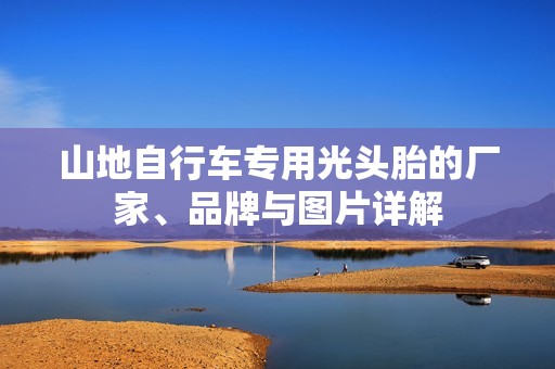 山地自行车专用光头胎的厂家、品牌与图片详解