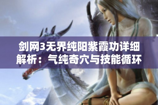 剑网3无界纯阳紫霞功详细解析：气纯奇穴与技能循环全攻略