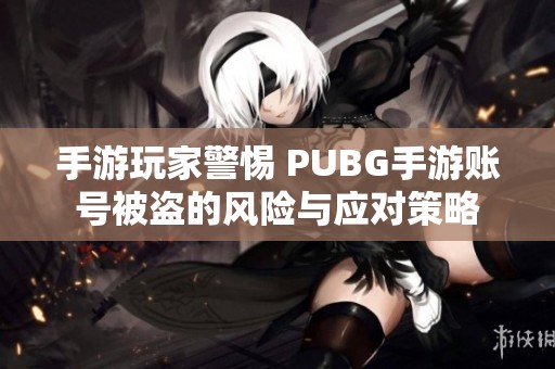 手游玩家警惕 PUBG手游账号被盗的风险与应对策略