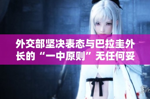 外交部坚决表态与巴拉圭外长的“一中原则”无任何妥协余地