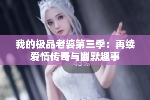 我的极品老婆第三季：再续爱情传奇与幽默趣事