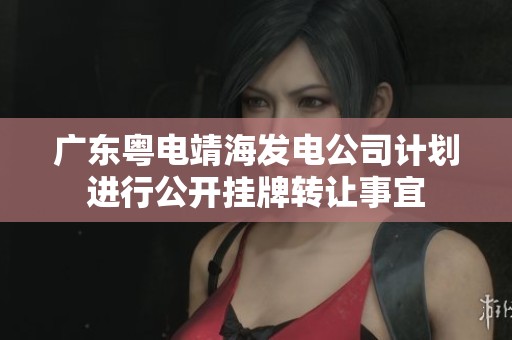 广东粤电靖海发电公司计划进行公开挂牌转让事宜
