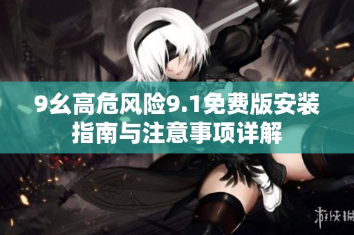 9幺高危风险9.1免费版安装指南与注意事项详解