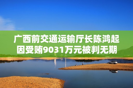 广西前交通运输厅长陈鸿起因受贿9031万元被判无期徒刑