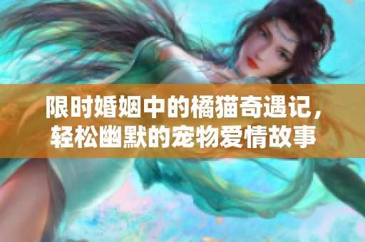 限时婚姻中的橘猫奇遇记，轻松幽默的宠物爱情故事