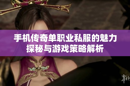 手机传奇单职业私服的魅力探秘与游戏策略解析
