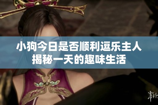 小狗今日是否顺利逗乐主人揭秘一天的趣味生活