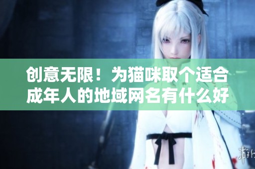 创意无限！为猫咪取个适合成年人的地域网名有什么好方法？