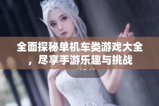 全面探秘单机车类游戏大全，尽享手游乐趣与挑战