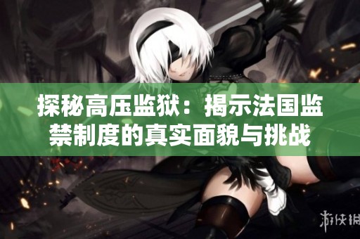 探秘高压监狱：揭示法国监禁制度的真实面貌与挑战