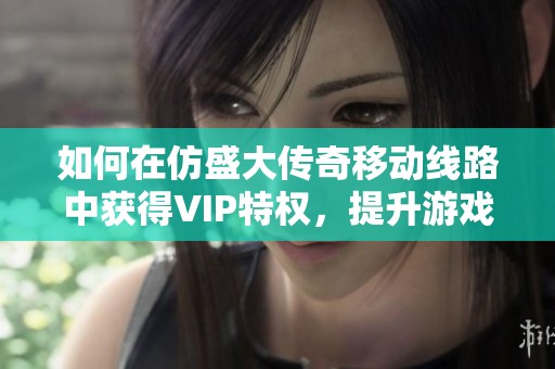 如何在仿盛大传奇移动线路中获得VIP特权，提升游戏乐趣