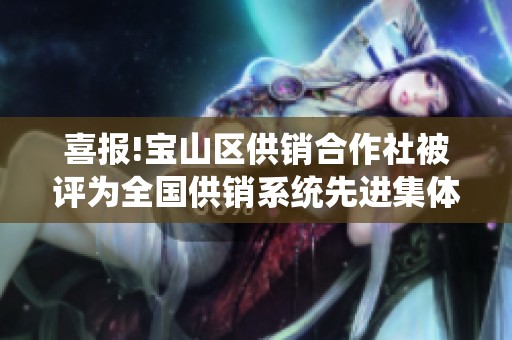 喜报!宝山区供销合作社被评为全国供销系统先进集体