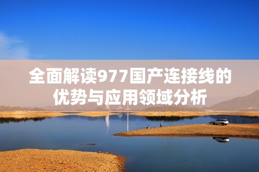 全面解读977国产连接线的优势与应用领域分析