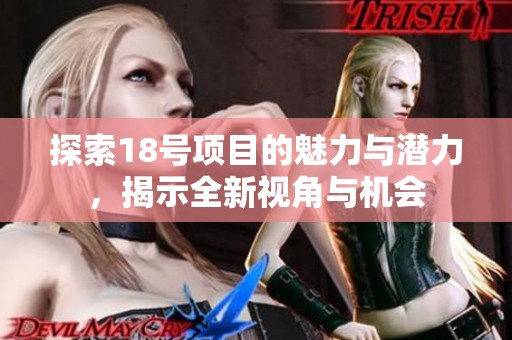 探索18号项目的魅力与潜力，揭示全新视角与机会