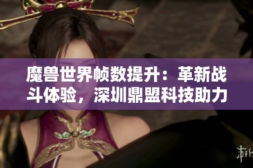 魔兽世界帧数提升：革新战斗体验，深圳鼎盟科技助力游戏畅享