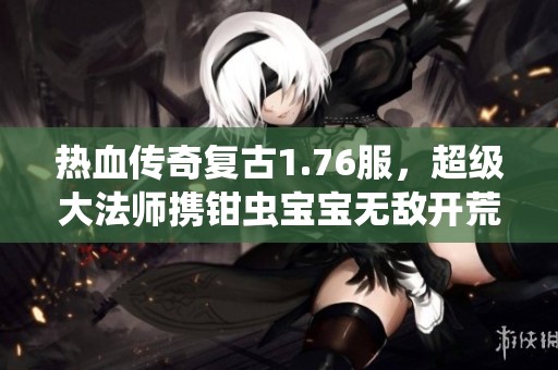 热血传奇复古1.76服，超级大法师携钳虫宝宝无敌开荒！