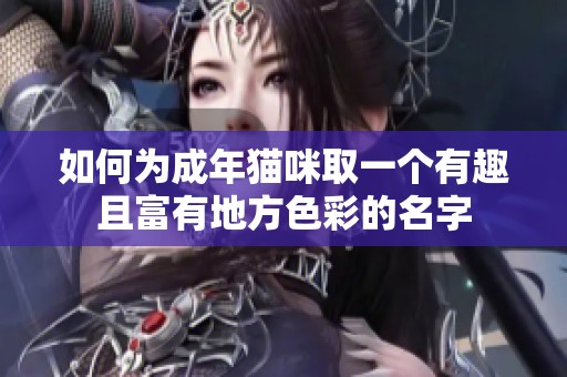 如何为成年猫咪取一个有趣且富有地方色彩的名字