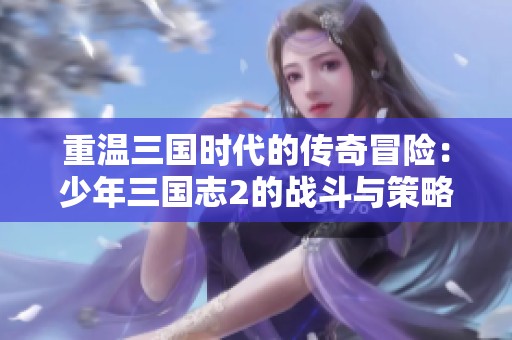 重温三国时代的传奇冒险：少年三国志2的战斗与策略盛宴