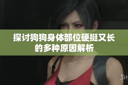 探讨狗狗身体部位硬挺又长的多种原因解析