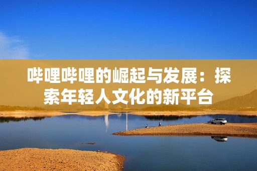 哔哩哔哩的崛起与发展：探索年轻人文化的新平台