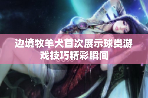 边境牧羊犬首次展示球类游戏技巧精彩瞬间