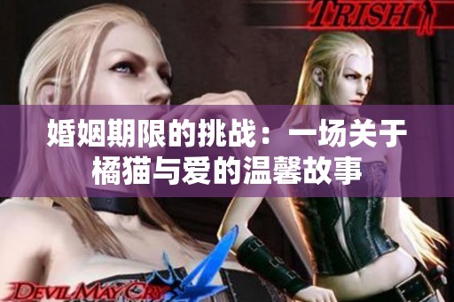 婚姻期限的挑战：一场关于橘猫与爱的温馨故事