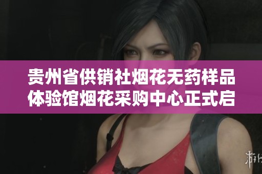 贵州省供销社烟花无药样品体验馆烟花采购中心正式启动开启新篇章