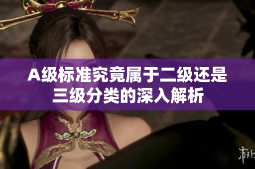 A级标准究竟属于二级还是三级分类的深入解析
